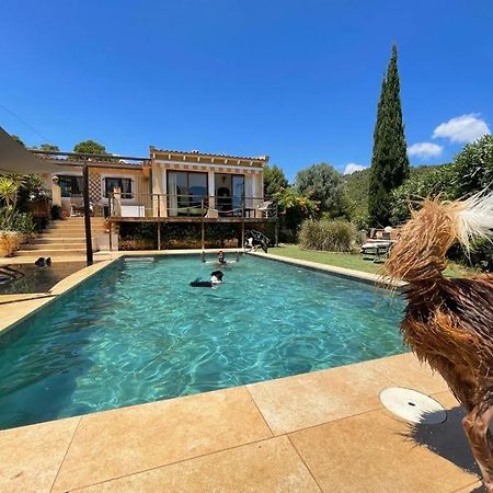 El Paraiso De Los Perros Polop Dış mekan fotoğraf