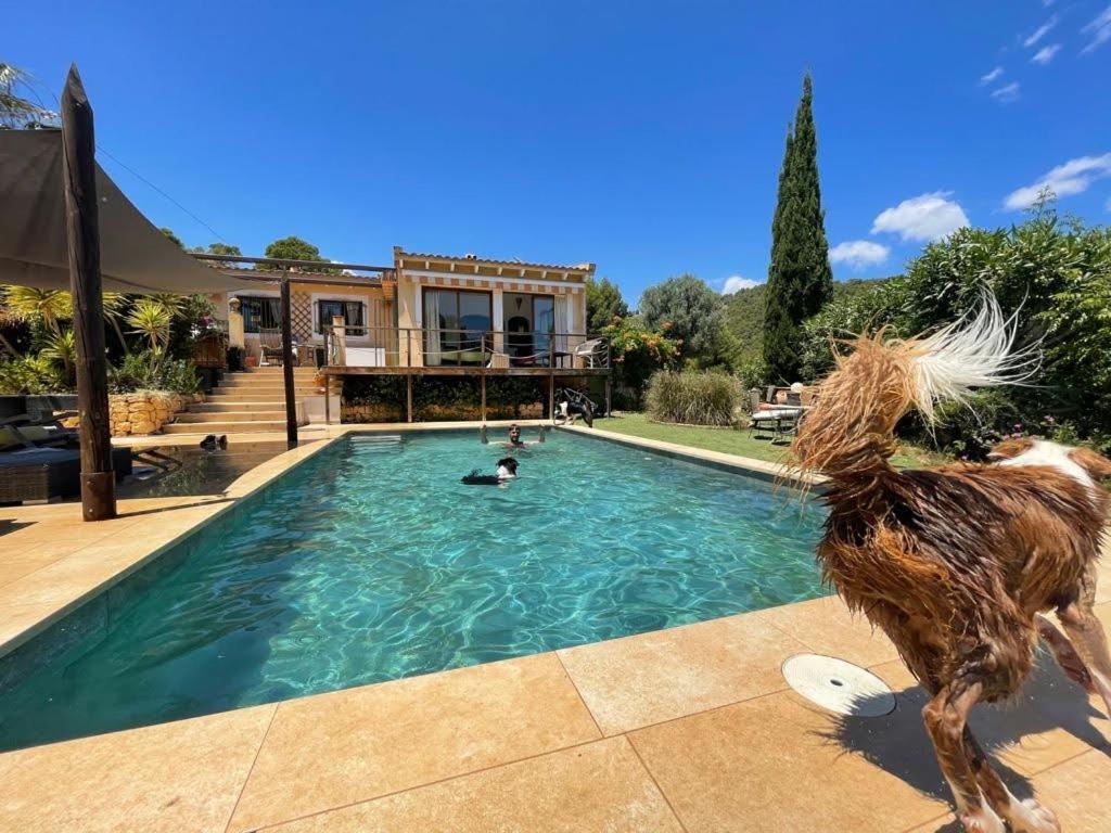 El Paraiso De Los Perros Polop Dış mekan fotoğraf