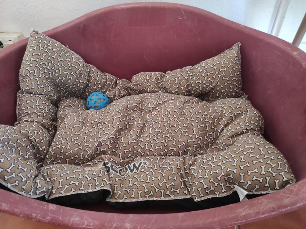 El Paraiso De Los Perros Polop Dış mekan fotoğraf